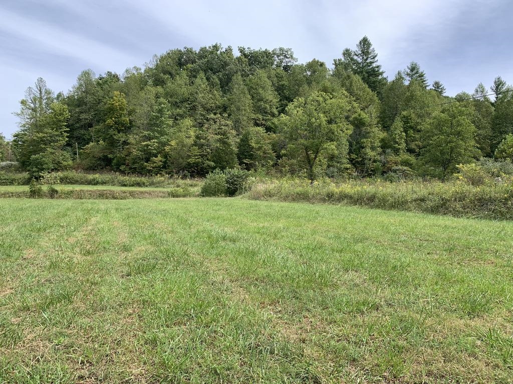 Lick Creek Road Webbville, KY 41180 - Photo 1 of 3 Gallery Image 1