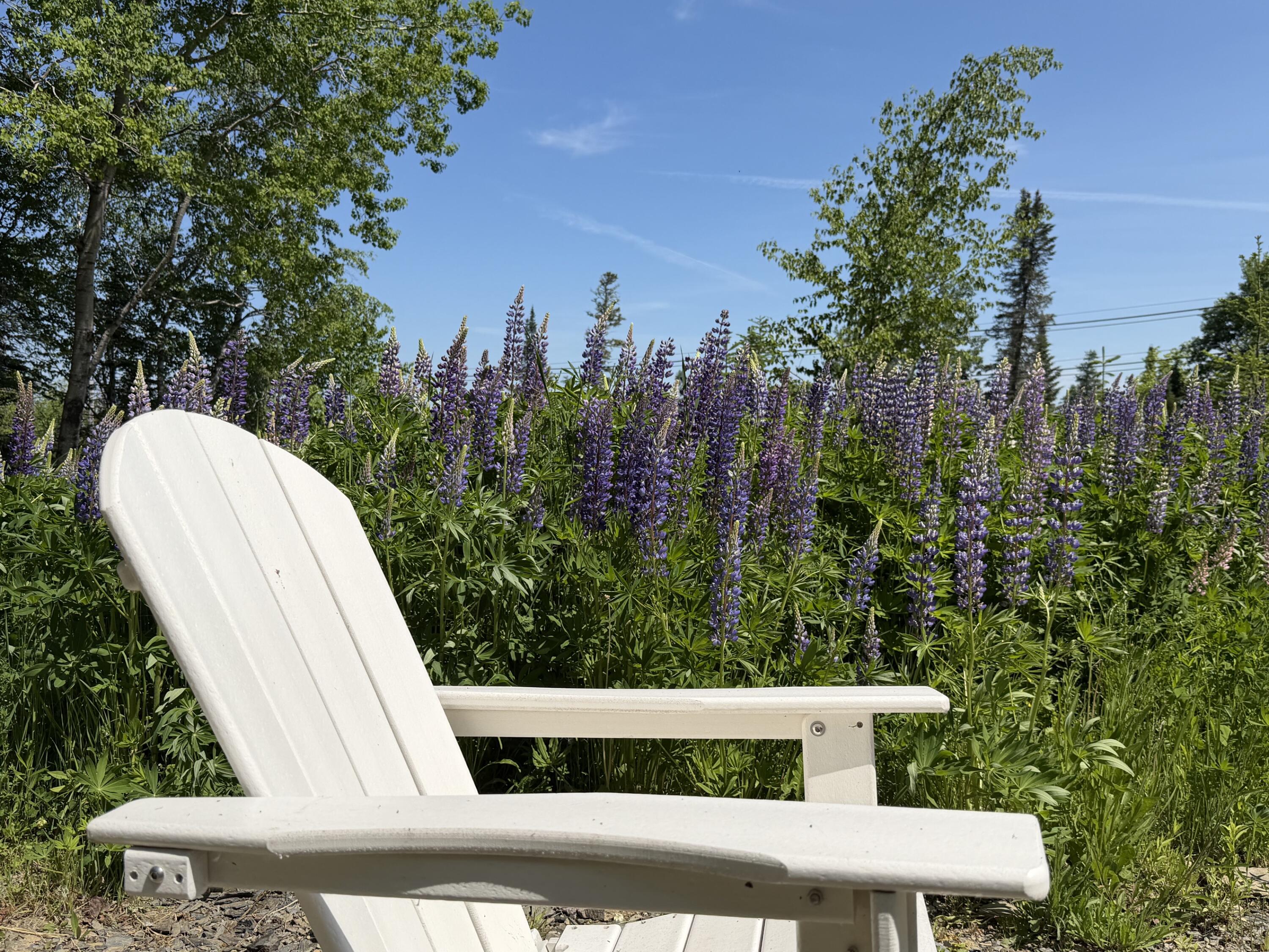 166 Station Road Sherman, ME 04776 - Photo 22 of 24 image2 (24)