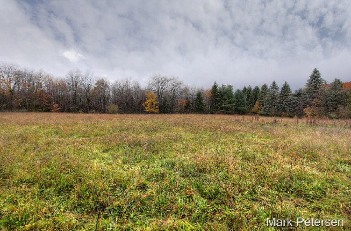 4495 Masters Road Coral, MI 49322 - Photo 53 of 54 IMG_4542