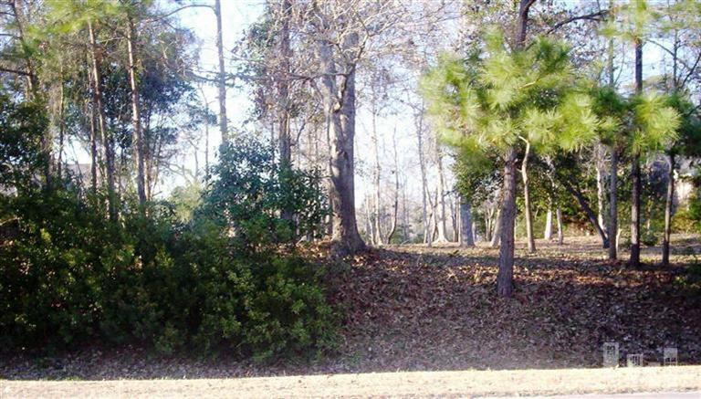 1010 Cordgrass Road Hampstead, NC 28443 - Photo 1 of 11 Primary Photo