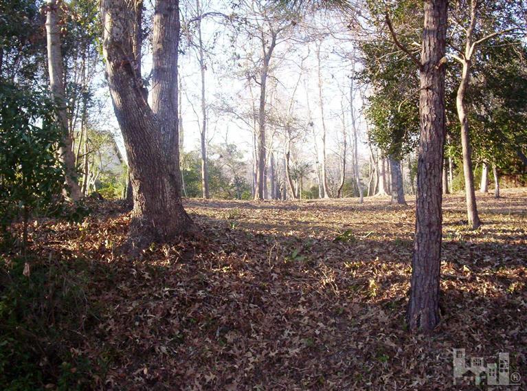 1010 Cordgrass Road Hampstead, NC 28443 - Photo 2 of 11 Additional Photo