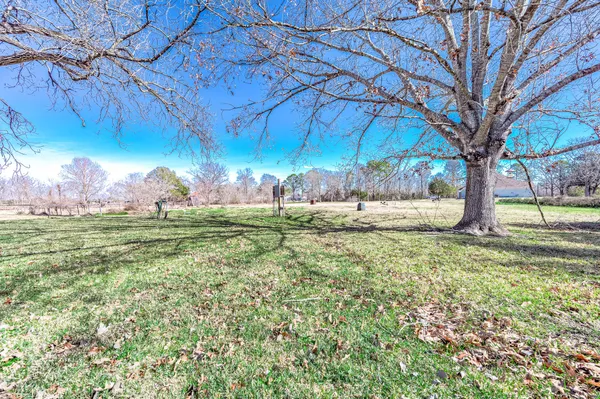 a view of a backyard with large trees