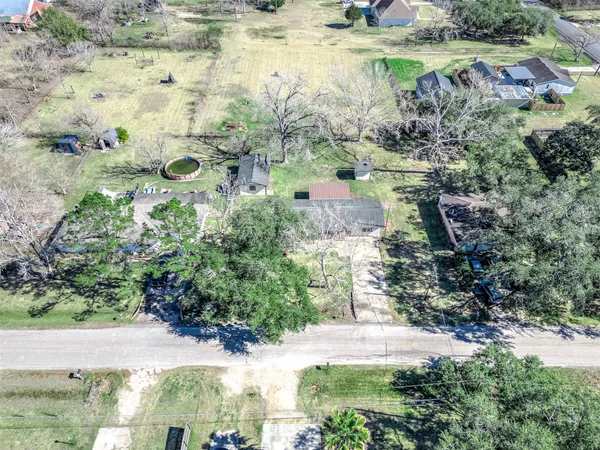 a view of a yard with plants and large trees
