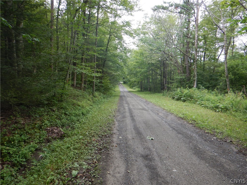 Bull Hill Road Newfield, NY 14867 - Photo 16 of 36