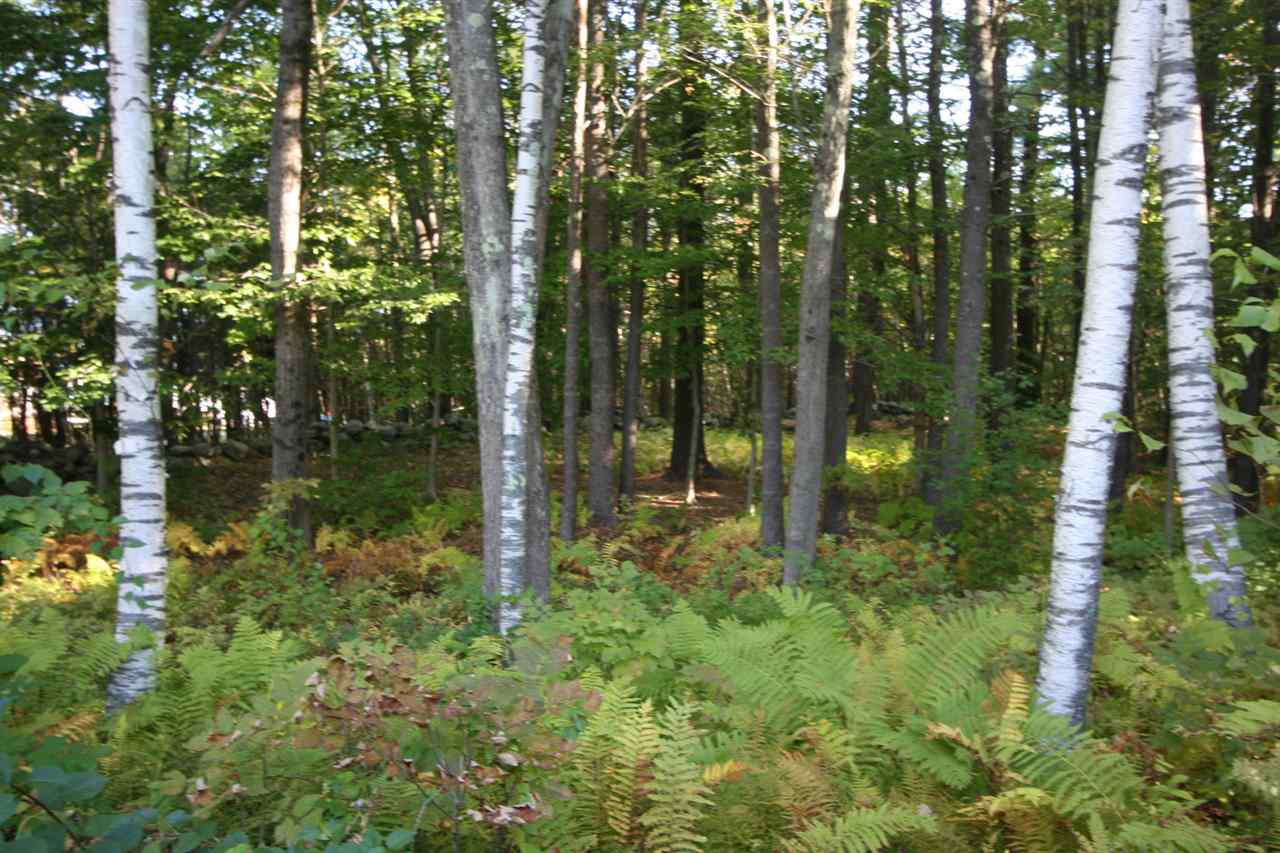 8 Little Harbor Road Berwick, ME 03901 - Photo 40 of 40 Gallery Image 40