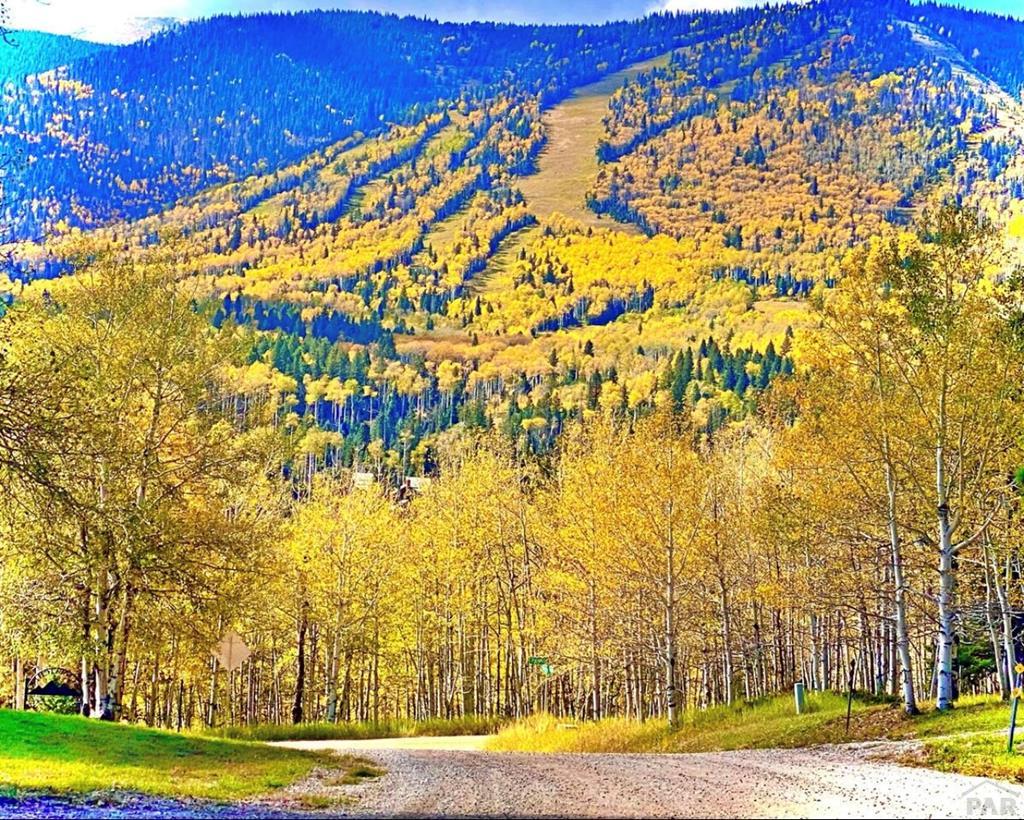 44 Valley Vista Road, Unit 35 La Veta, CO 81055 - Photo 42 of 42