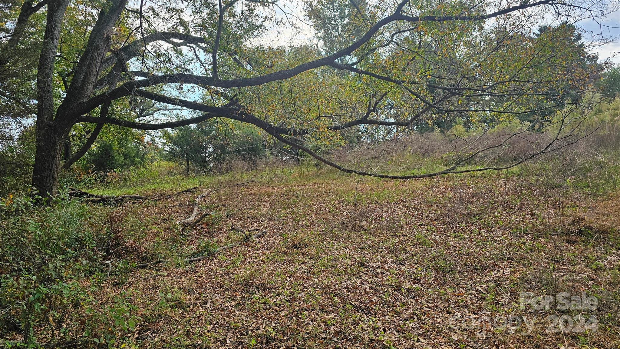 1275 Traywick Road Peachland, NC 28133 - Photo 11 of 12