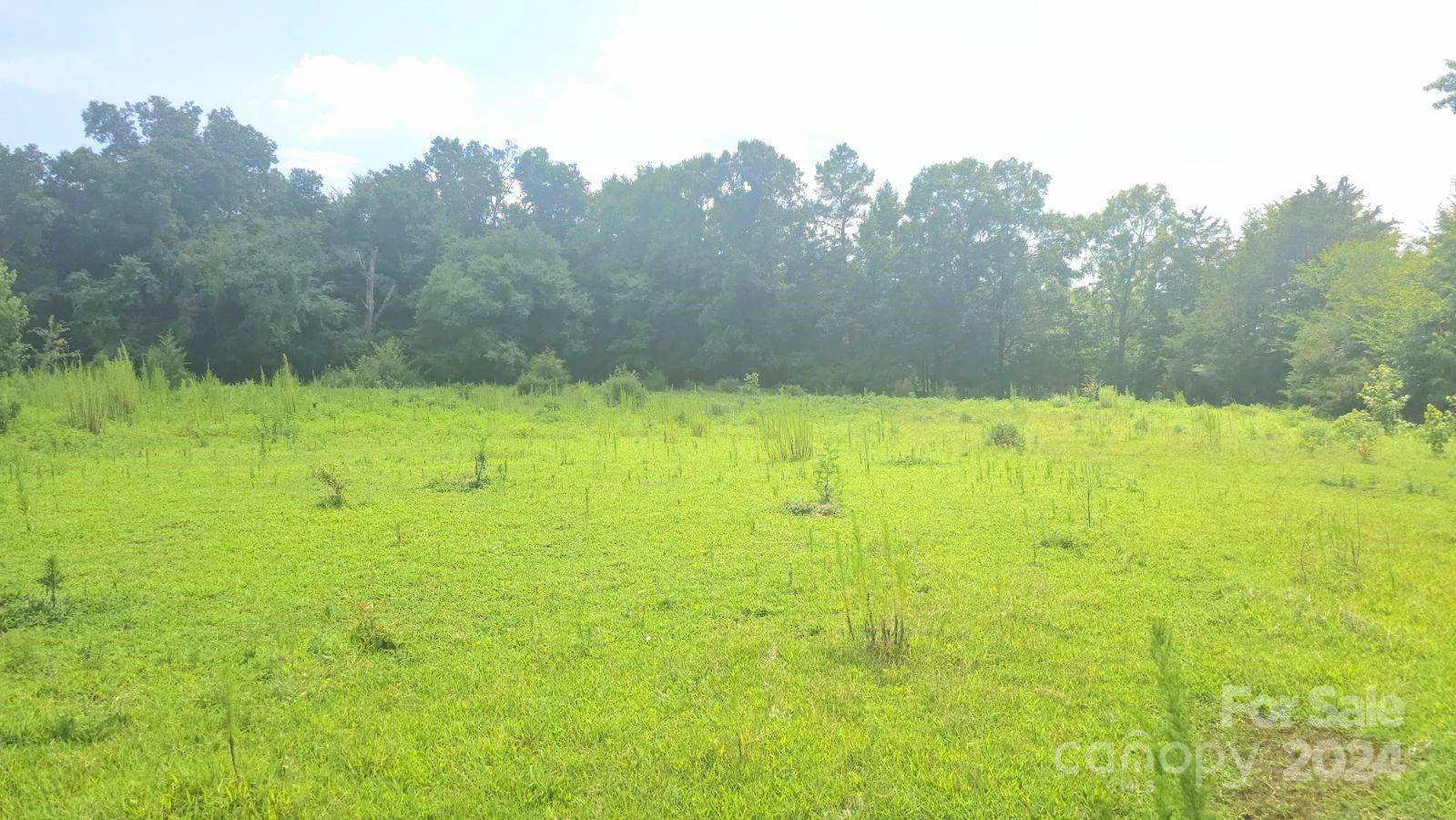 1275 Traywick Road Peachland, NC 28133 - Photo 3 of 12