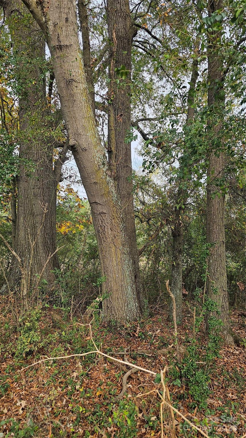 1275 Traywick Road Peachland, NC 28133 - Photo 4 of 12