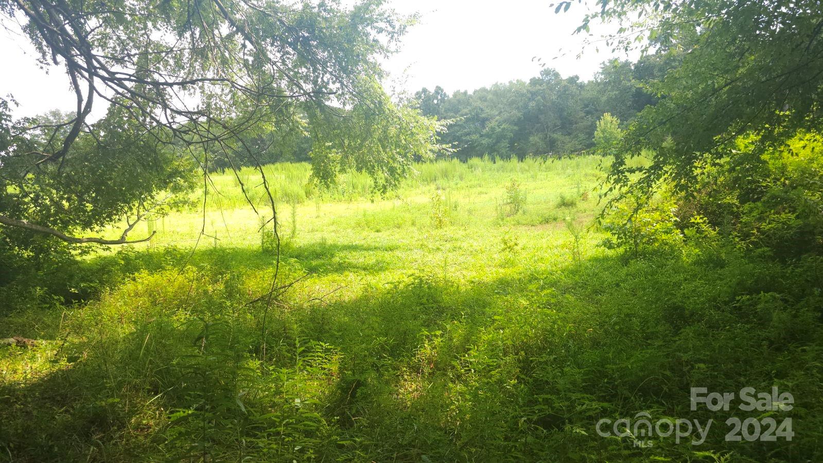 1275 Traywick Road Peachland, NC 28133 - Photo 5 of 12