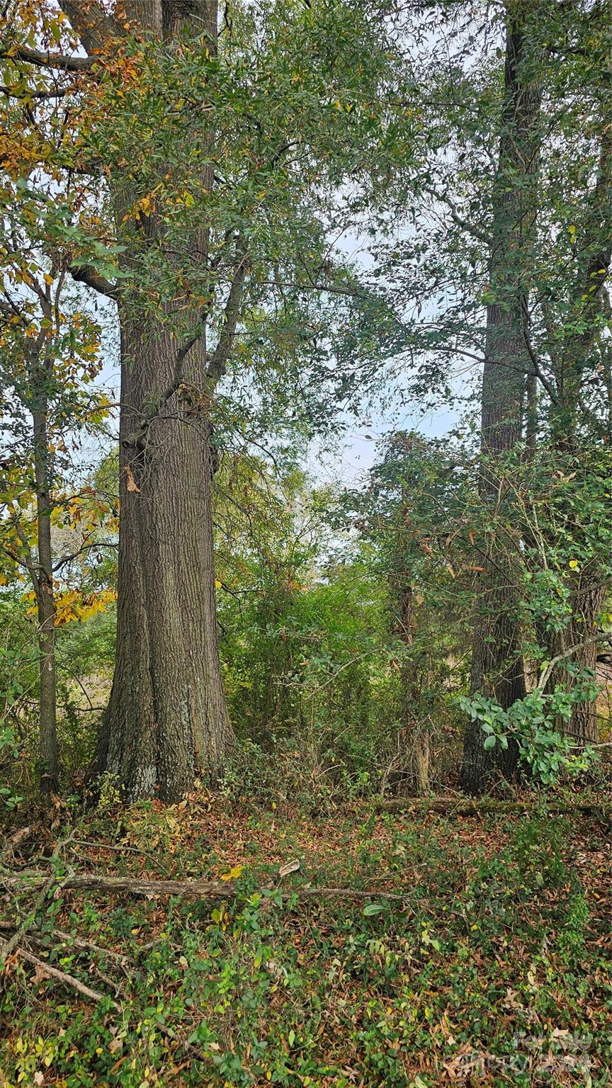 1275 Traywick Road Peachland, NC 28133 - Photo 6 of 12