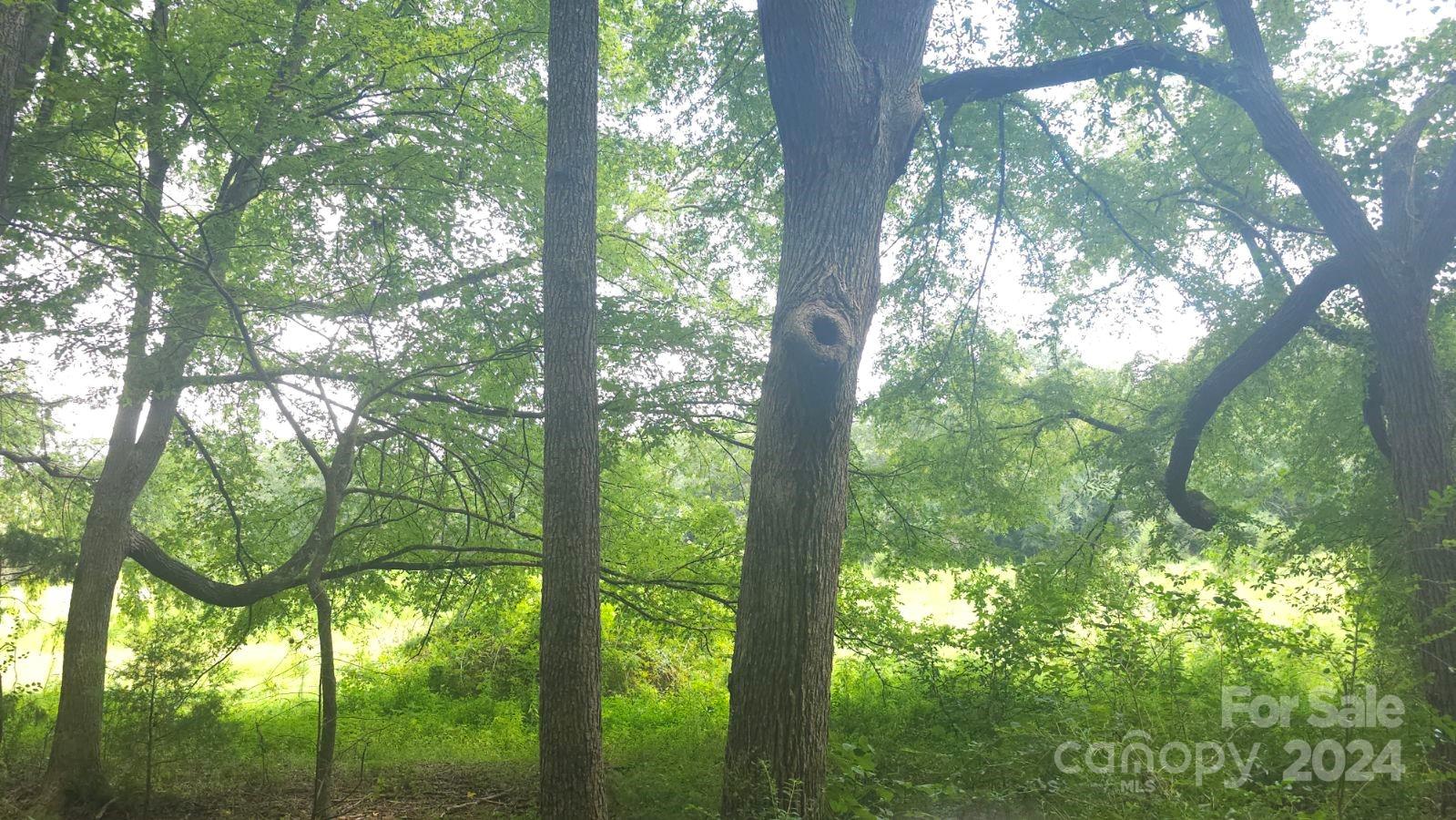 1275 Traywick Road Peachland, NC 28133 - Photo 7 of 12