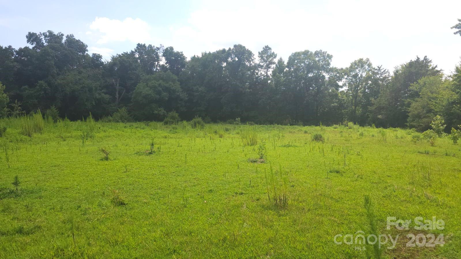 1275 Traywick Road Peachland, NC 28133 - Photo 8 of 12