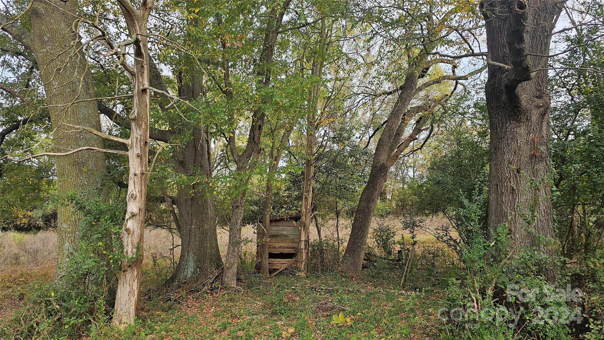 1275 Traywick Road Peachland, NC 28133 - Photo 9 of 12