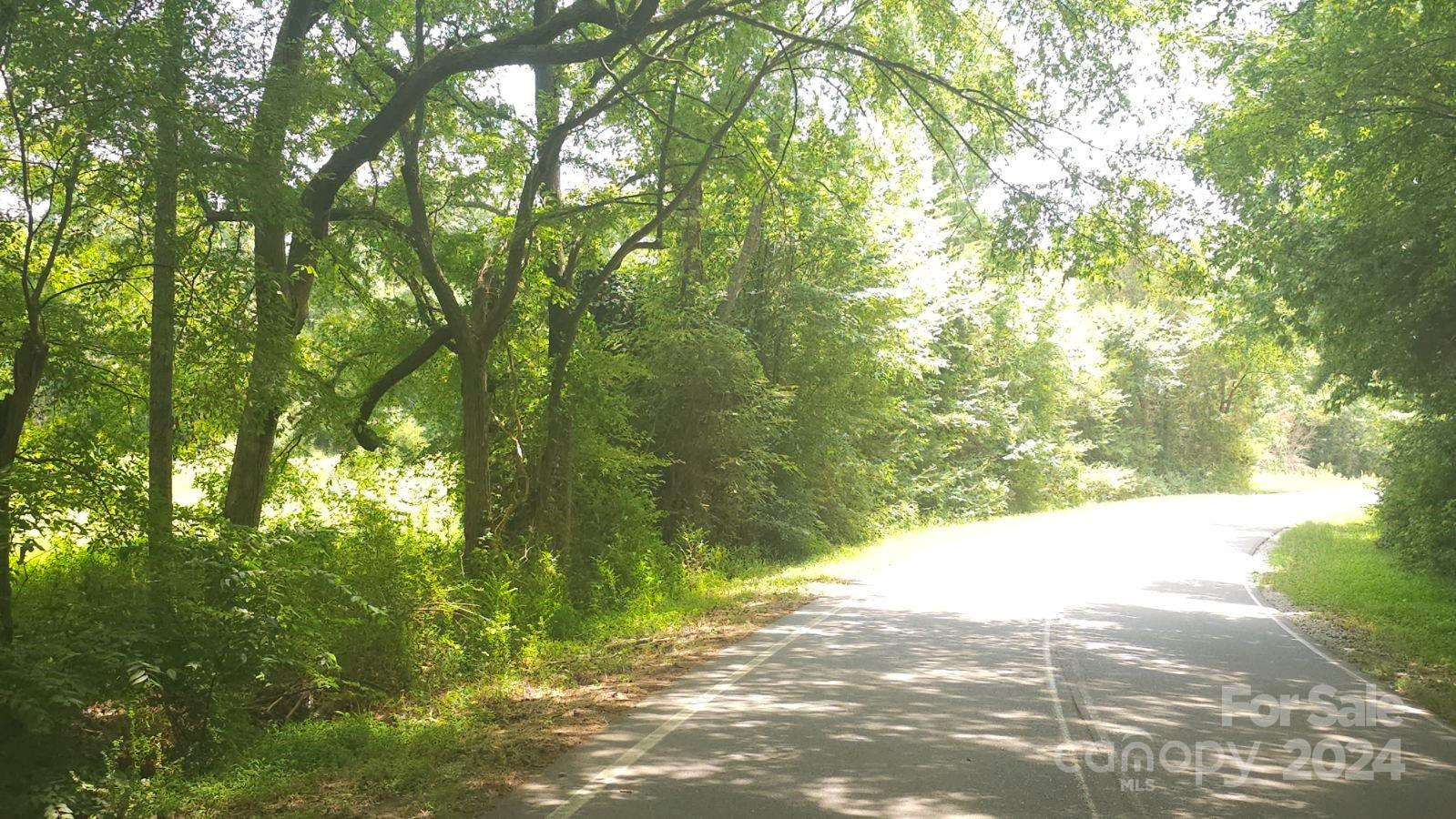 1275 Traywick Road Peachland, NC 28133 - Photo 10 of 12