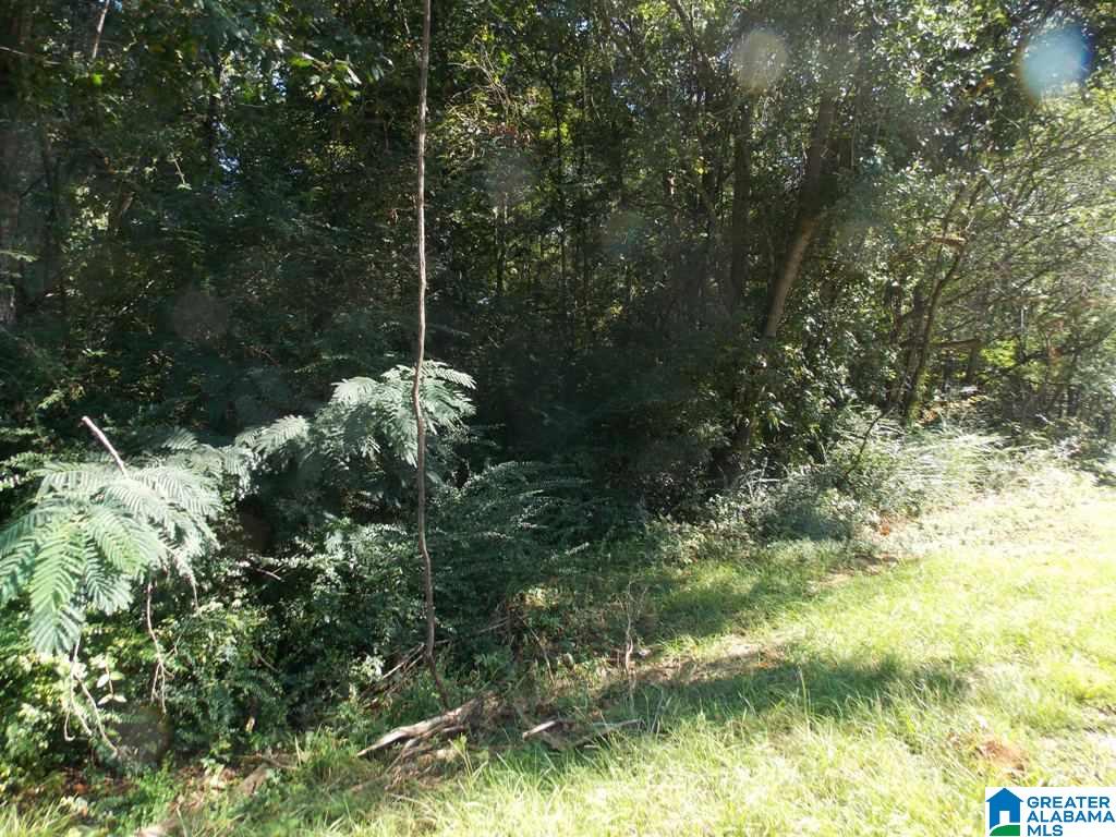 375 Marble Quarry Road, Unit 7 ACRES Talladega, AL 35160 - Photo 25 of 33