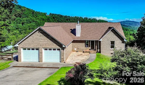a view of a large trees with lots of bushes