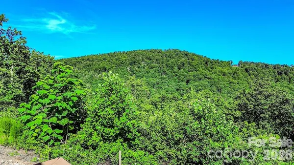 a view of a lush green field with a mountain in the background