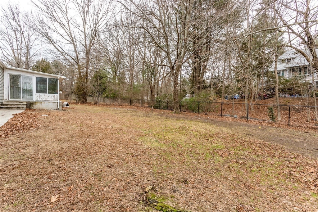 300 Chapman Street Canton, MA 02021 - Photo 16 of 16 a view of a yard with trees