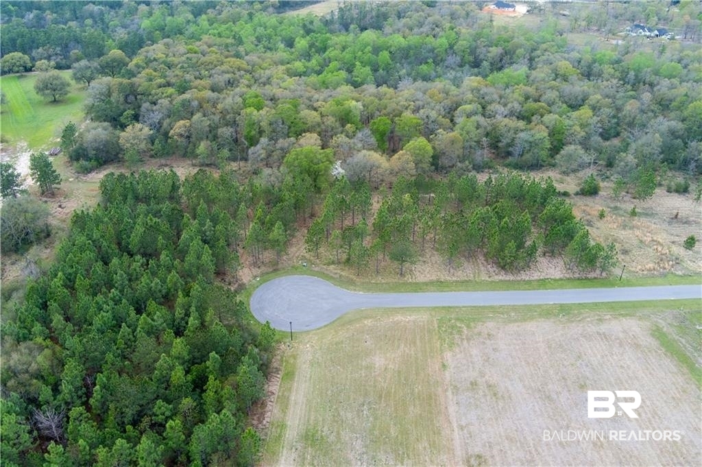 47 Hampton Ridge Mobile, AL 36608 - Photo 3 of 9 Aerial overview of property's location featuring a forest