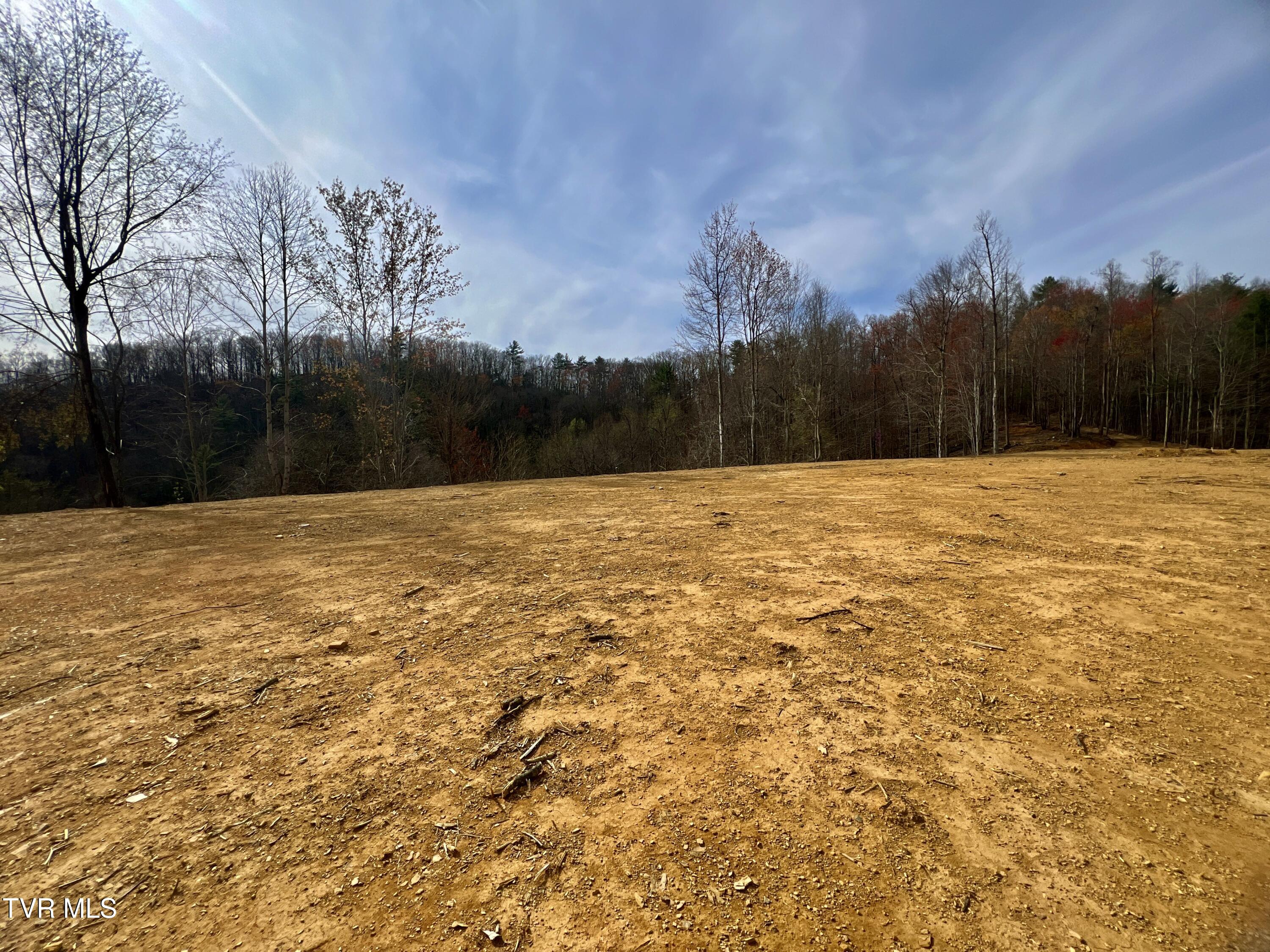 538 Punkton Road Del Rio, TN 37727 - Photo 71 of 92 _Pic85 (4)