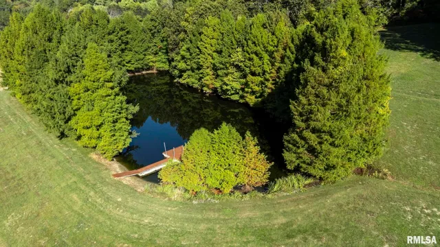 a view of a yard with plants and trees