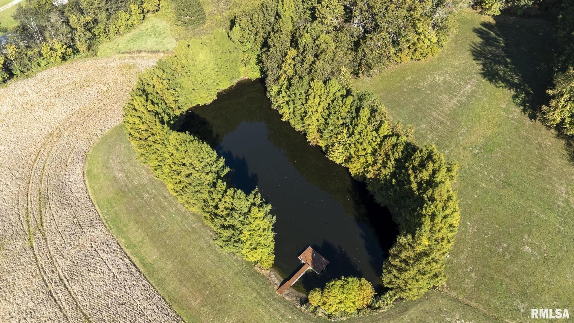 1810 Berryville Road Jonesboro, IL 62952 - Photo 38 of 60