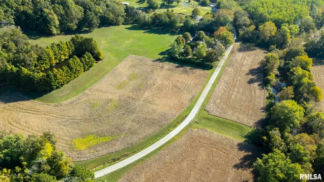 a view of house with backyard and trees