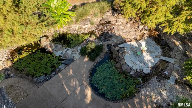 a view of a garden with plants and large trees