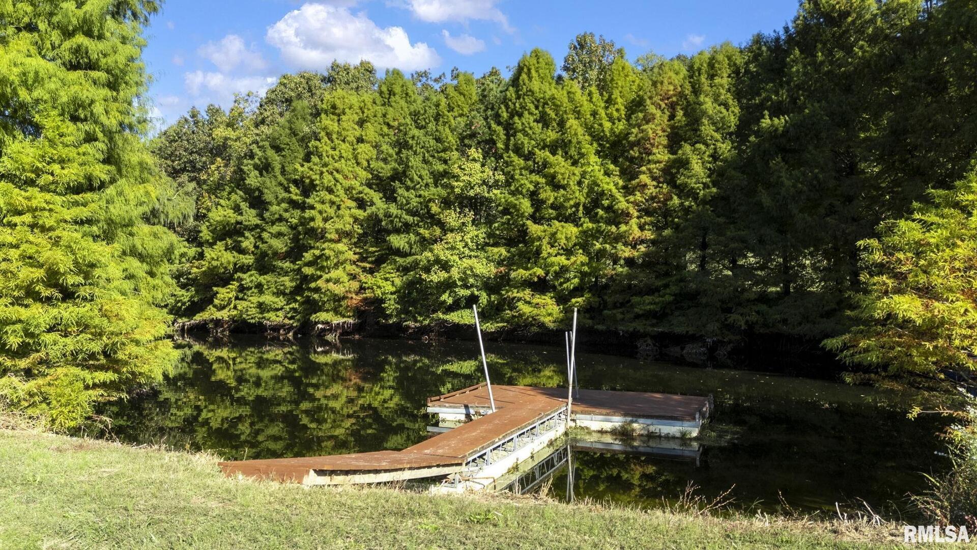 1810 Berryville Road Jonesboro, IL 62952 - Photo 51 of 60