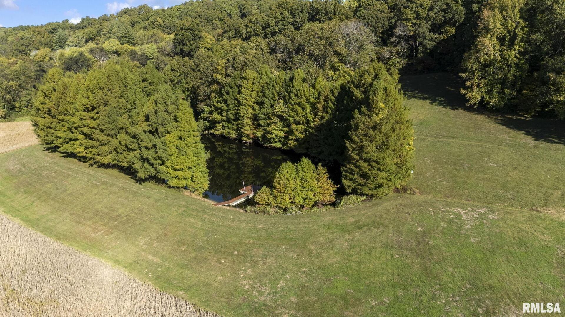 1810 Berryville Road Jonesboro, IL 62952 - Photo 53 of 60