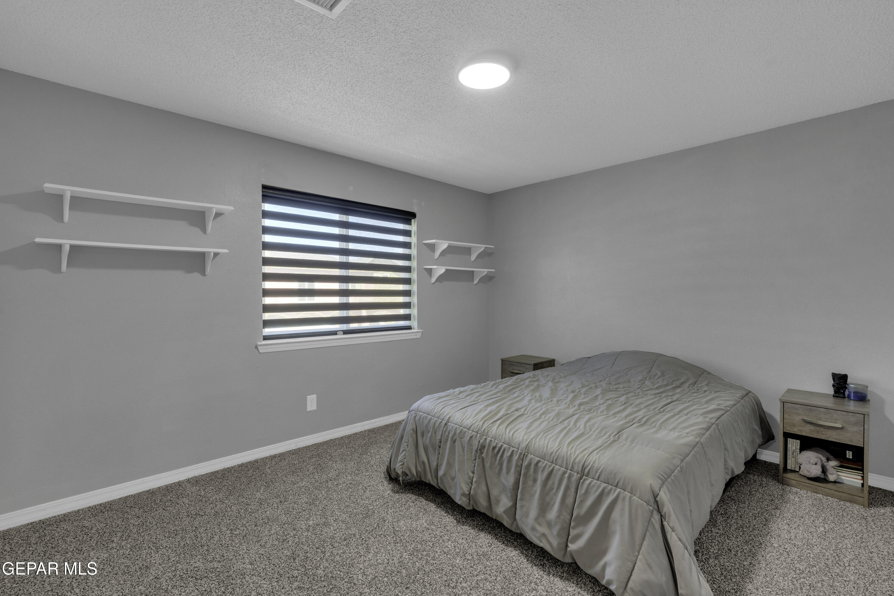 6341 Cougar Ridge Lane El Paso, TX 79912 - Photo 41 of 71 4 (1)