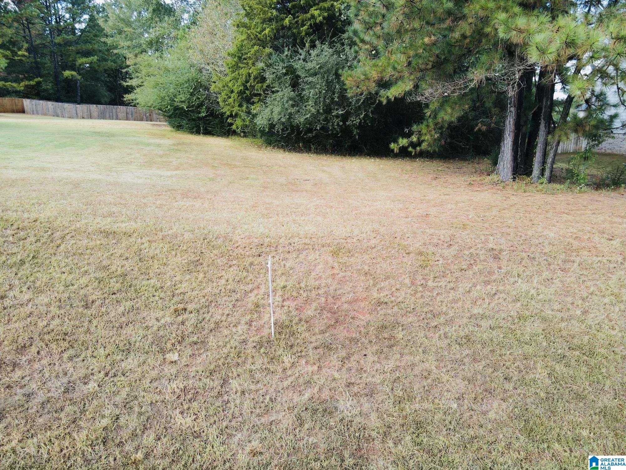 Lot 39 Homestead Drive, Unit 39 Springville, AL 35146 - Photo 1 of 2