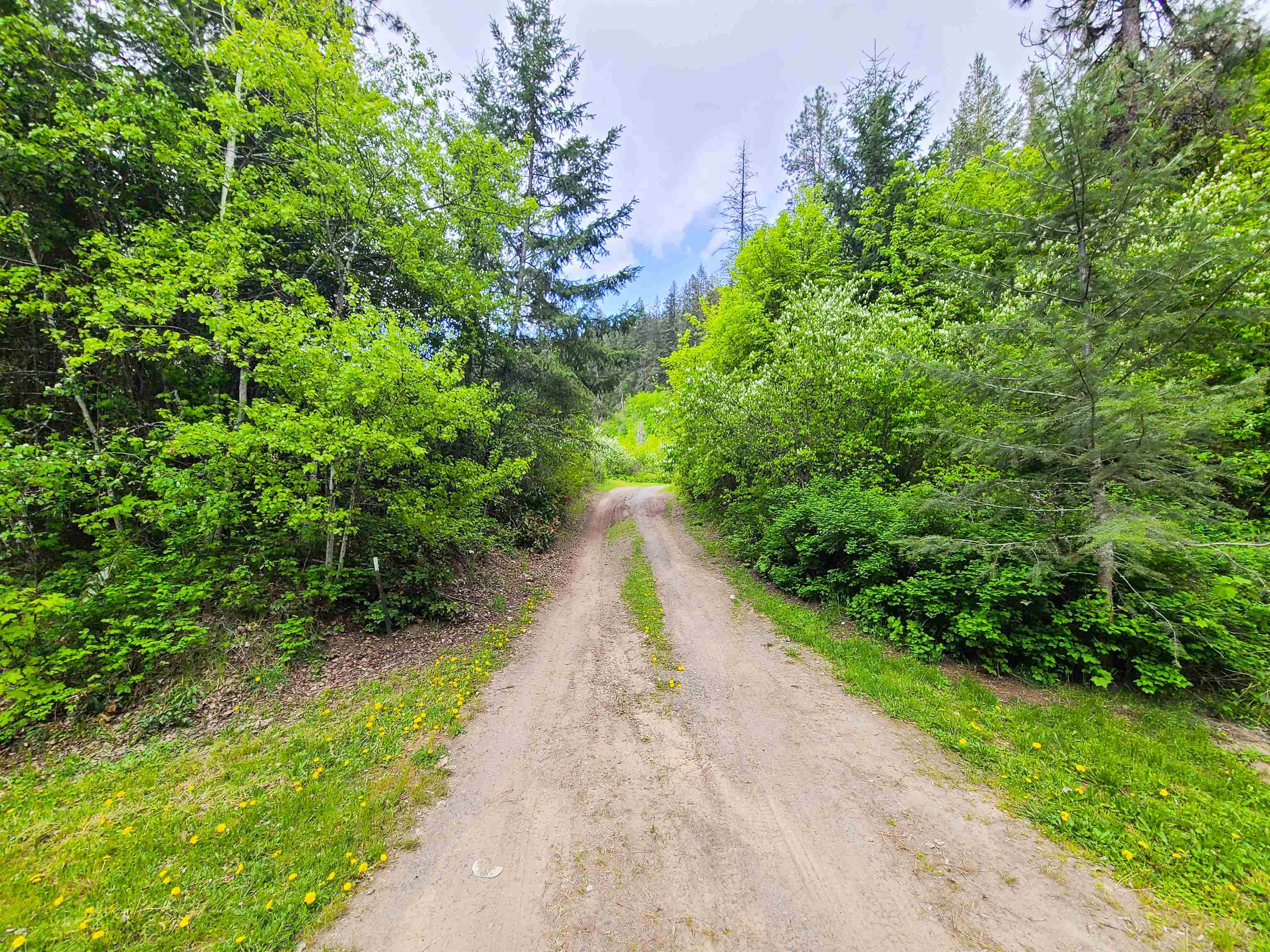 700 Minter Boulevard Marcus, WA 99151 - Photo 12 of 24