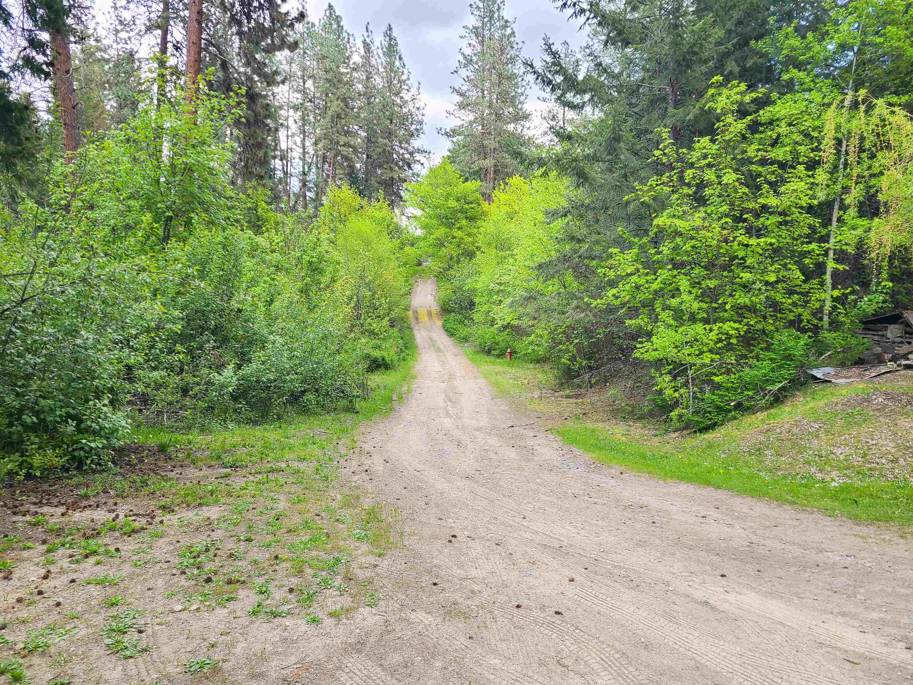 700 Minter Boulevard Marcus, WA 99151 - Photo 14 of 24