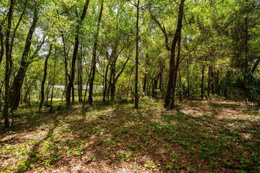 3 Old Post Road Longwood, FL 32779 - Photo 48 of 59