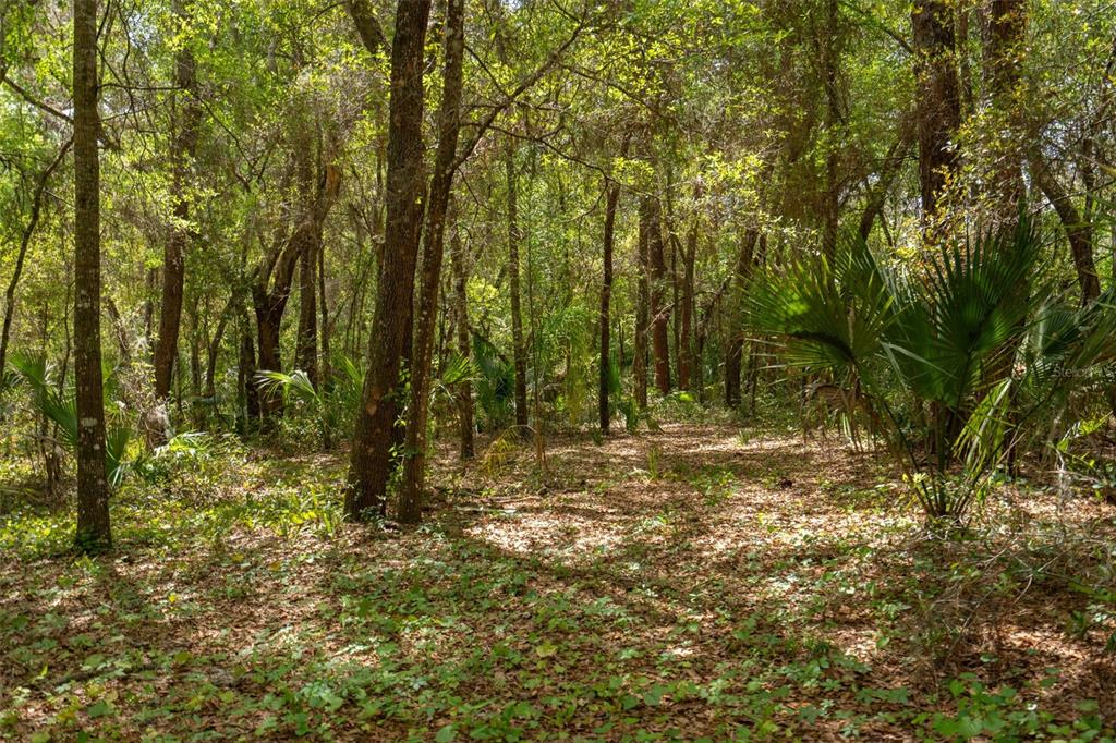 3 Old Post Road Longwood, FL 32779 - Photo 49 of 59