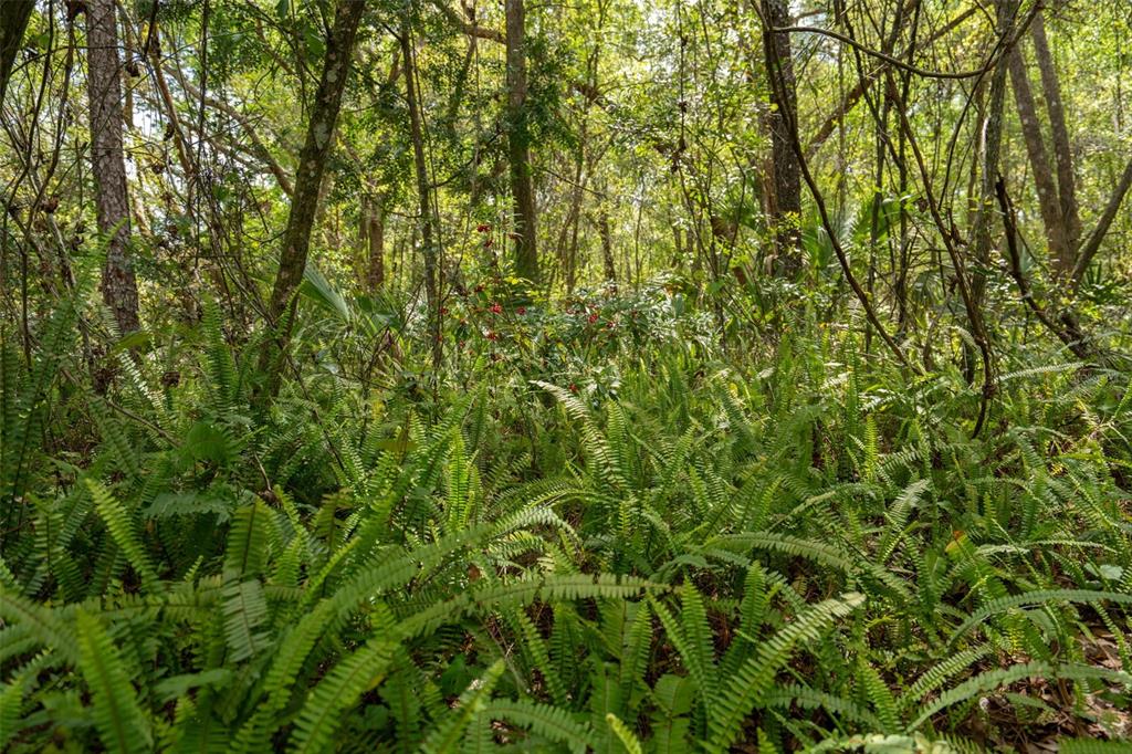 3 Old Post Road Longwood, FL 32779 - Photo 51 of 59