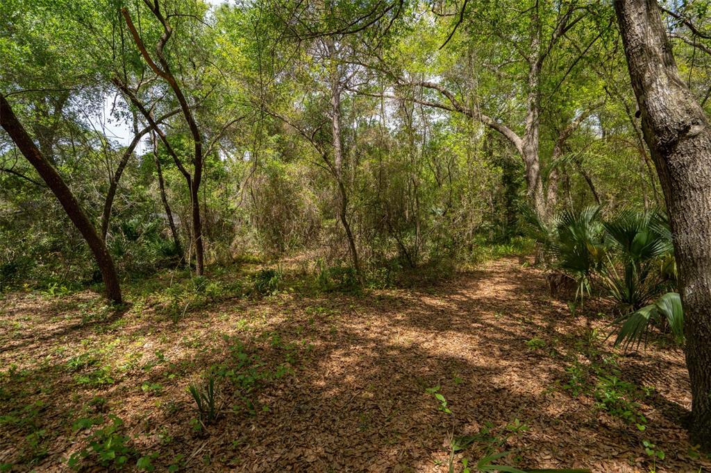 3 Old Post Road Longwood, FL 32779 - Photo 52 of 59