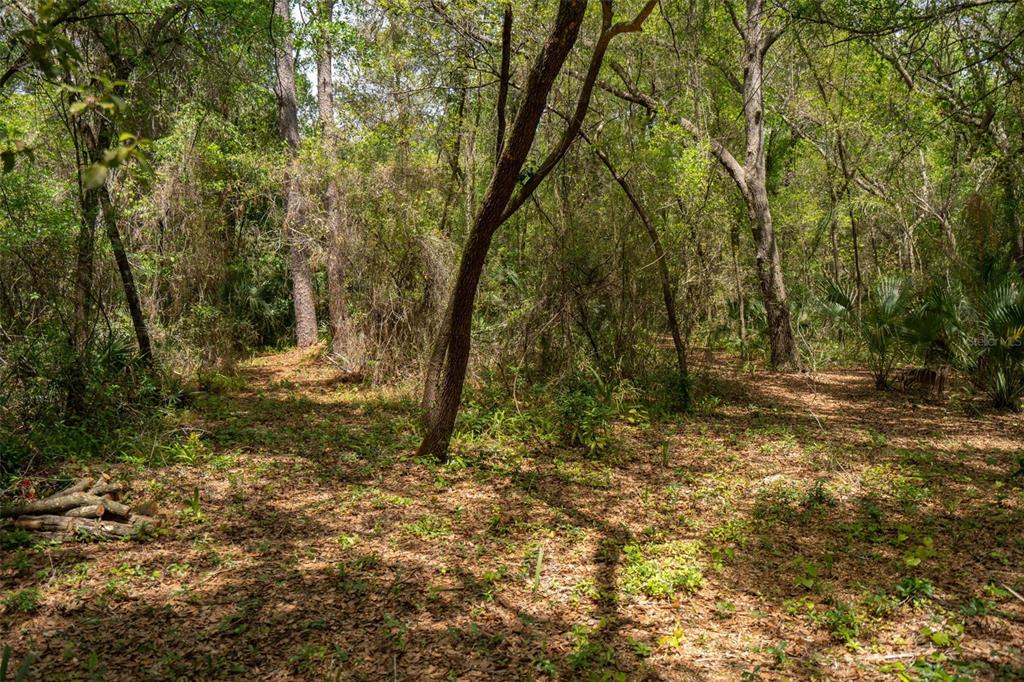 3 Old Post Road Longwood, FL 32779 - Photo 53 of 59