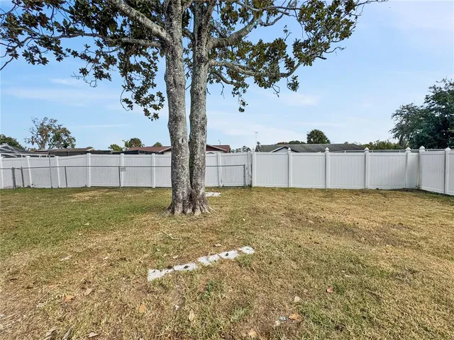 a view of a yard with a tree