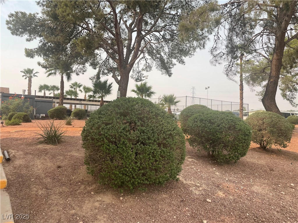 4641 Royal Ridge Boulevard Las Vegas, NV 89103 - Photo 28 of 38 View of yard