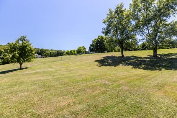 952 Achortown Road Beaver Falls, PA 15010 - Photo 30 of 43 a view of a yard with a tree