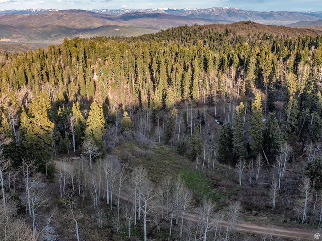 2211 Pine Loop Road, Unit 64 Coalville, UT 84017 - Photo 13 of 20 View of mountain background featuring a heavily wooded area