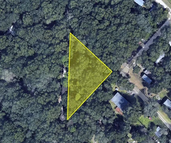 a view of a yard with plants