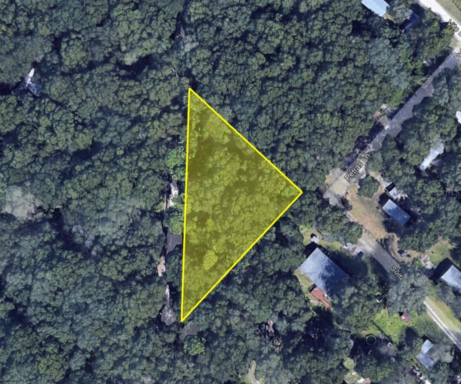 a view of a yard with plants