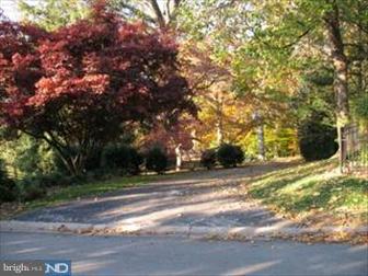 520 Huston Road St. Davids, PA 19087 - Photo 3 of 4 a view of a yard with a tree