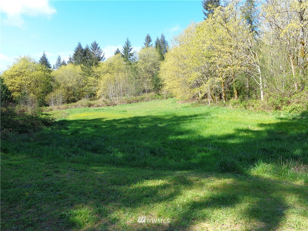 418 Delano Road Southwest Lakebay, WA 98349 - Photo 11 of 15