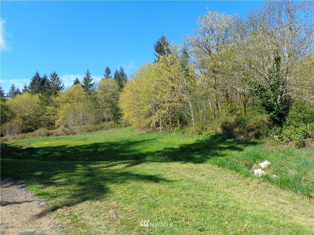 418 Delano Road Southwest Lakebay, WA 98349 - Photo 12 of 15
