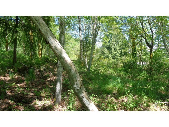 418 Delano Road Southwest Lakebay, WA 98349 - Photo 13 of 15
